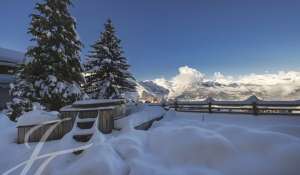 Prodej Chalet Haute-Nendaz