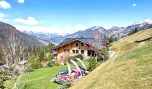 Prodej Chalet Saanen