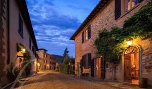 Prodej Vlastnost vinice Greve in Chianti