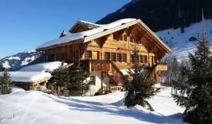 Pronájem Chalet Lauenen bei Gstaad